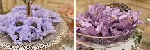 1-01_once_upon_a_wedding_casa-julieta_de_serpa_blog_a_moda_da_noiva_arte_em_forminhas blogimage