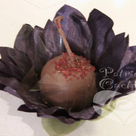 forminha_docinhos_festas_casamento_15_anos_violeta