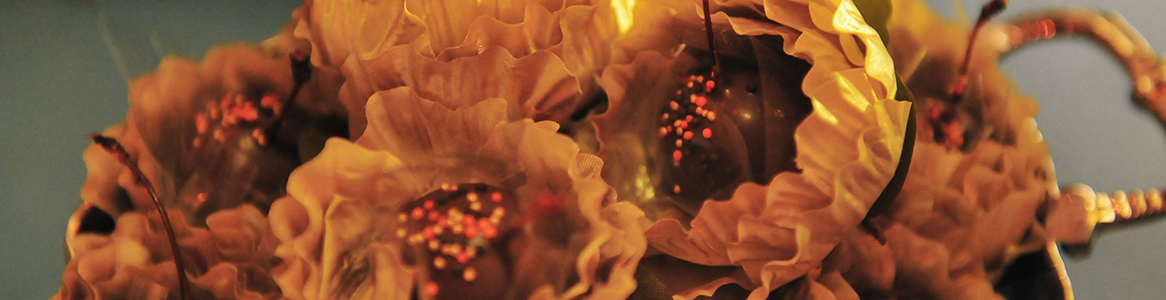 Arte Em Forminhas Header